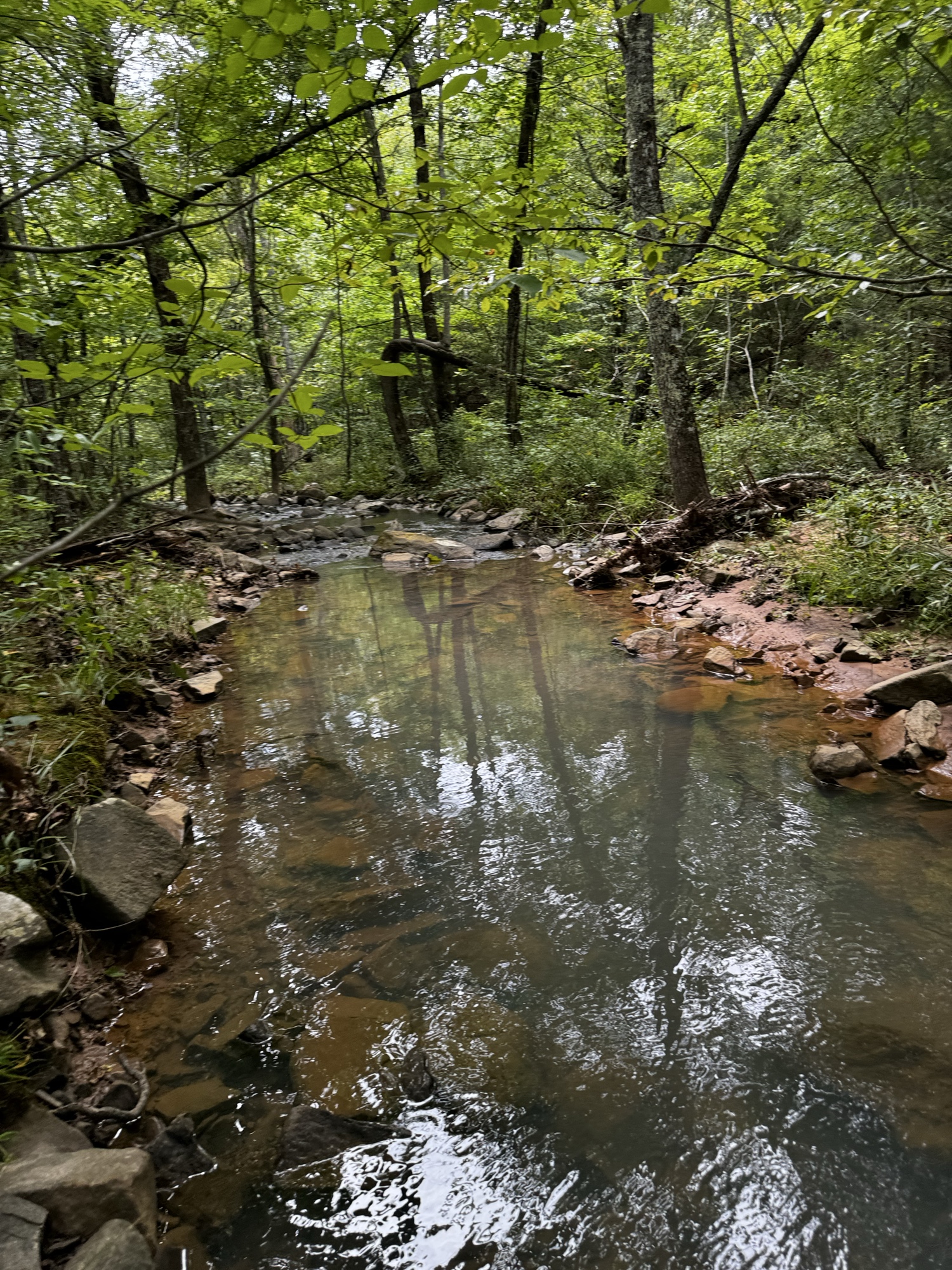 Creek on the property