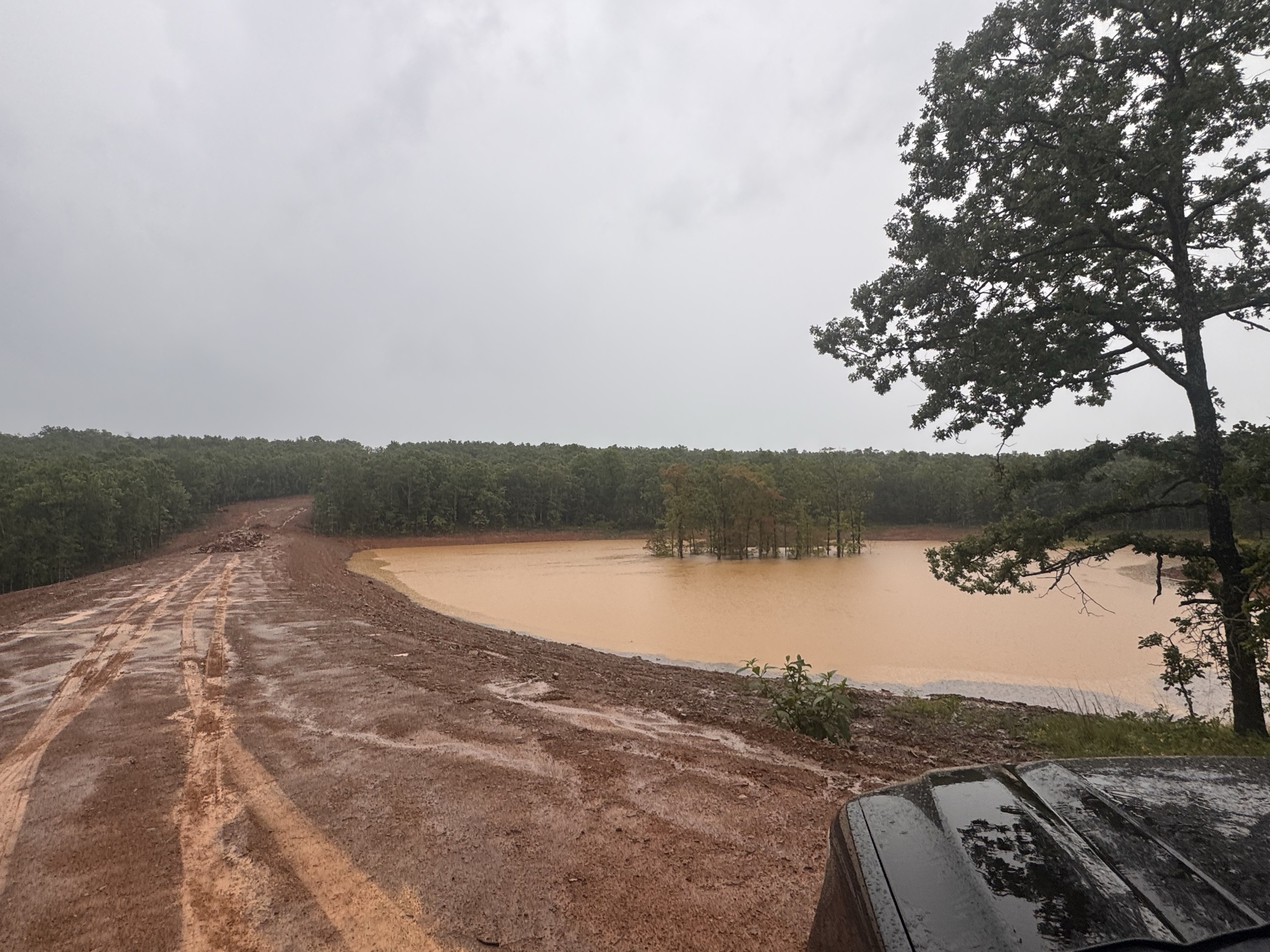 Spring creek running through the wooded property at 7 Lakes Ranch Estates