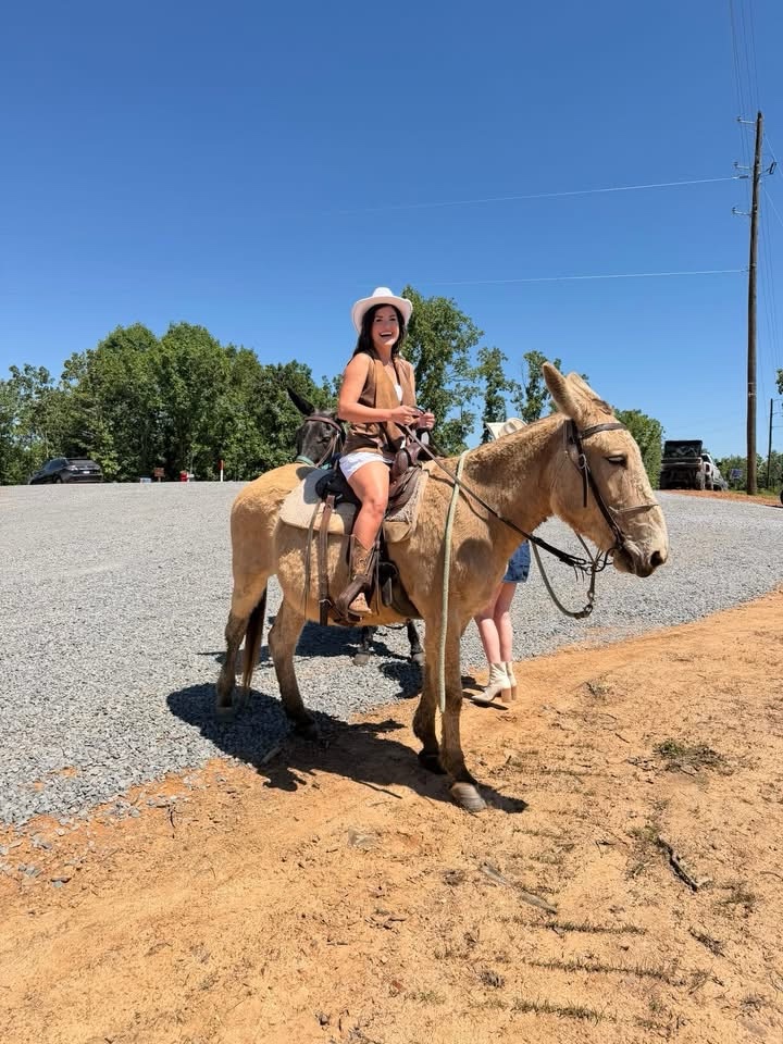 Guest on horseback at the grand opening