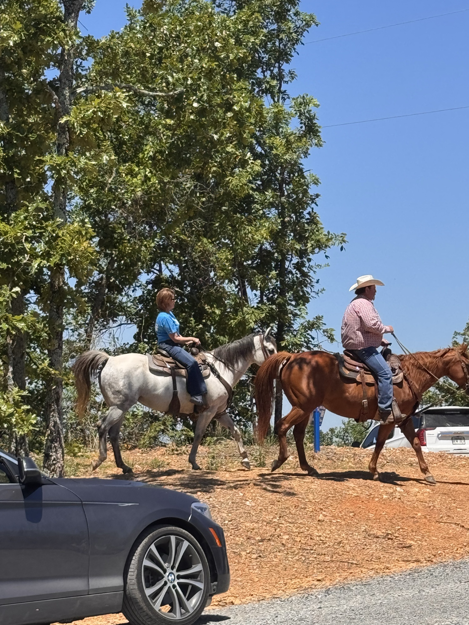 Three riders on horseback along the lake shore with a dog — showing horses are welcome at 7 Lakes