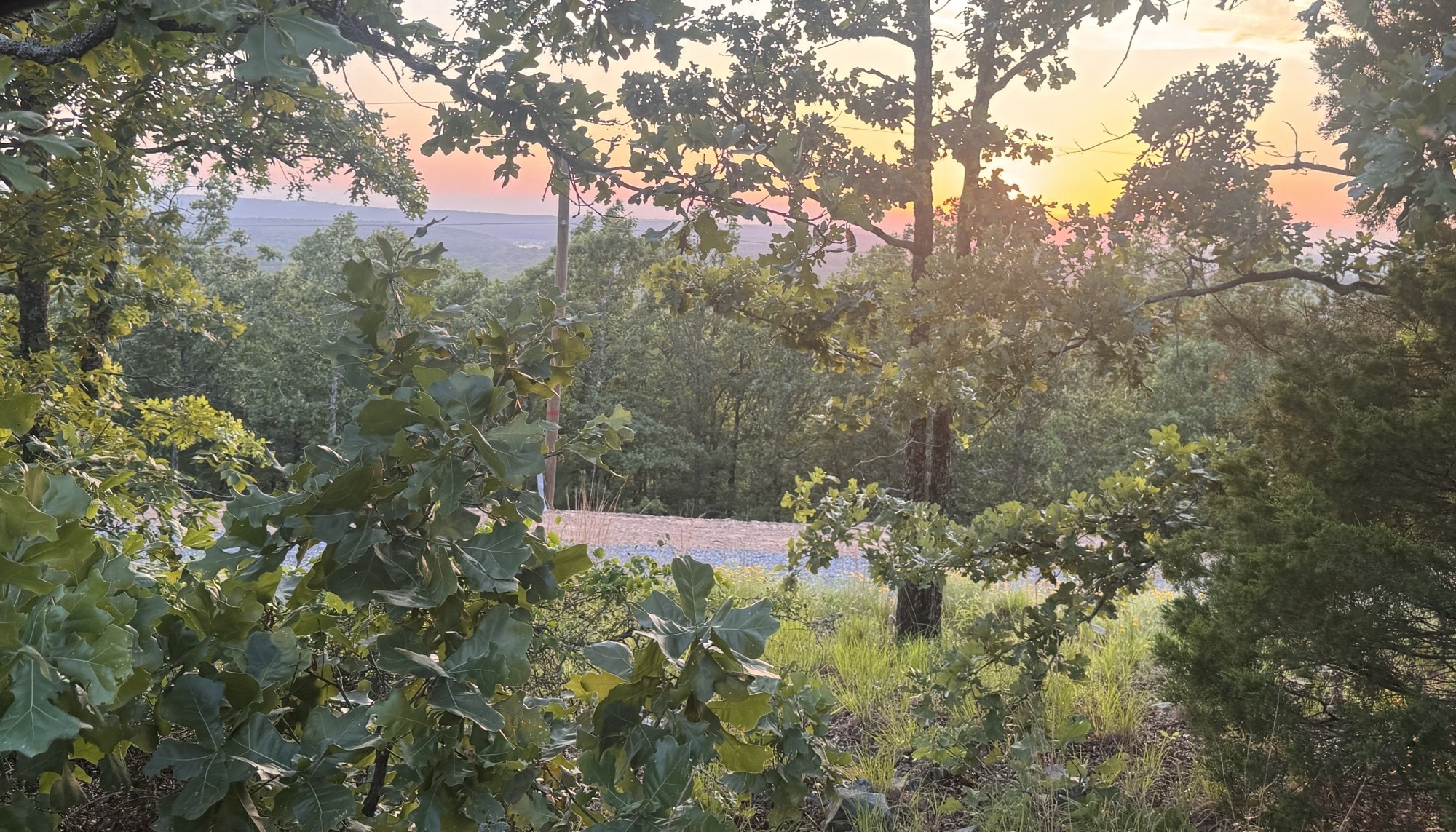 Winding gravel road descending through lush green trees toward the valley at sunset