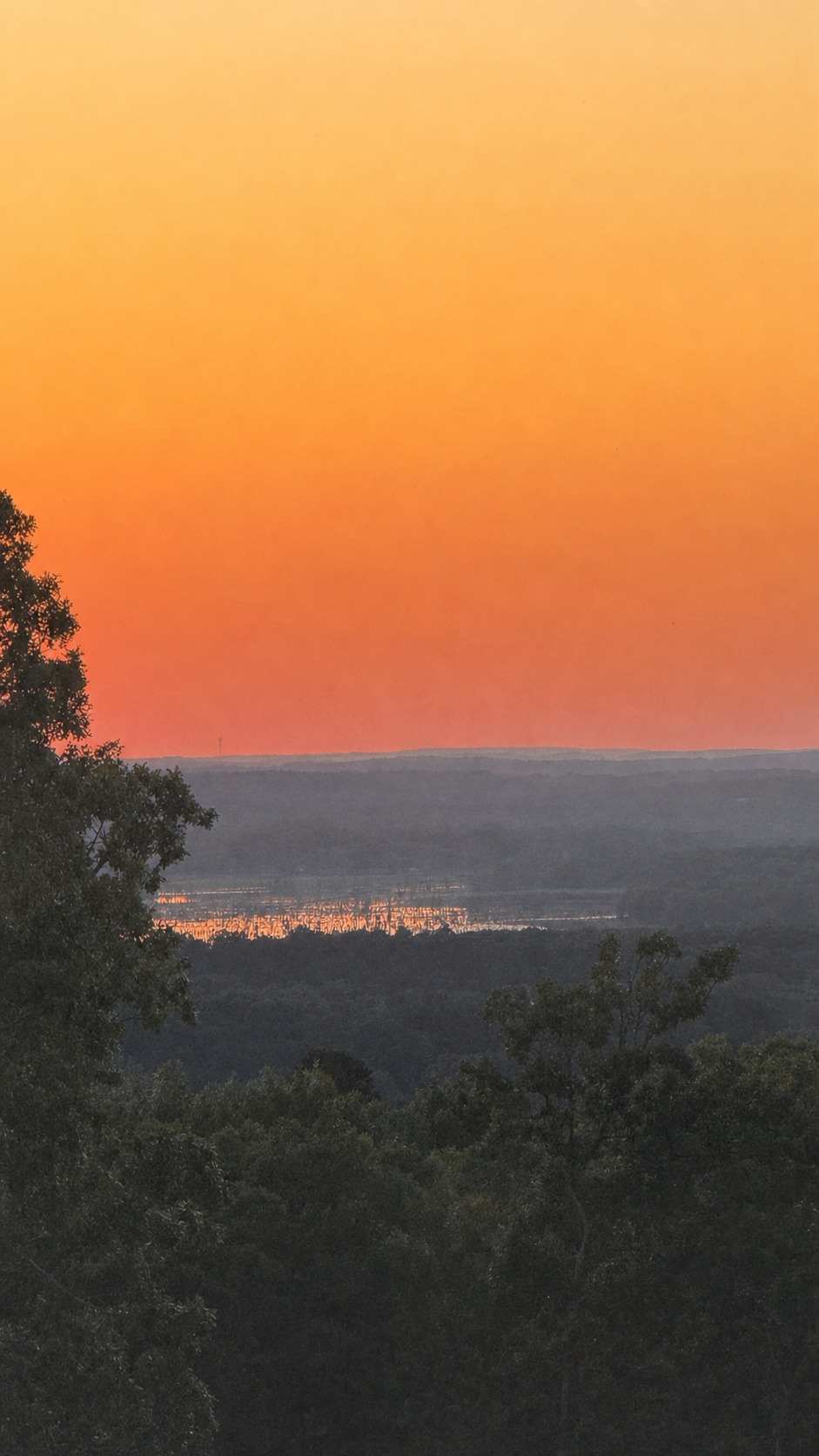 Winding road through lush green trees toward valley and mountain at golden hour — 7 Lakes Ranch Estates